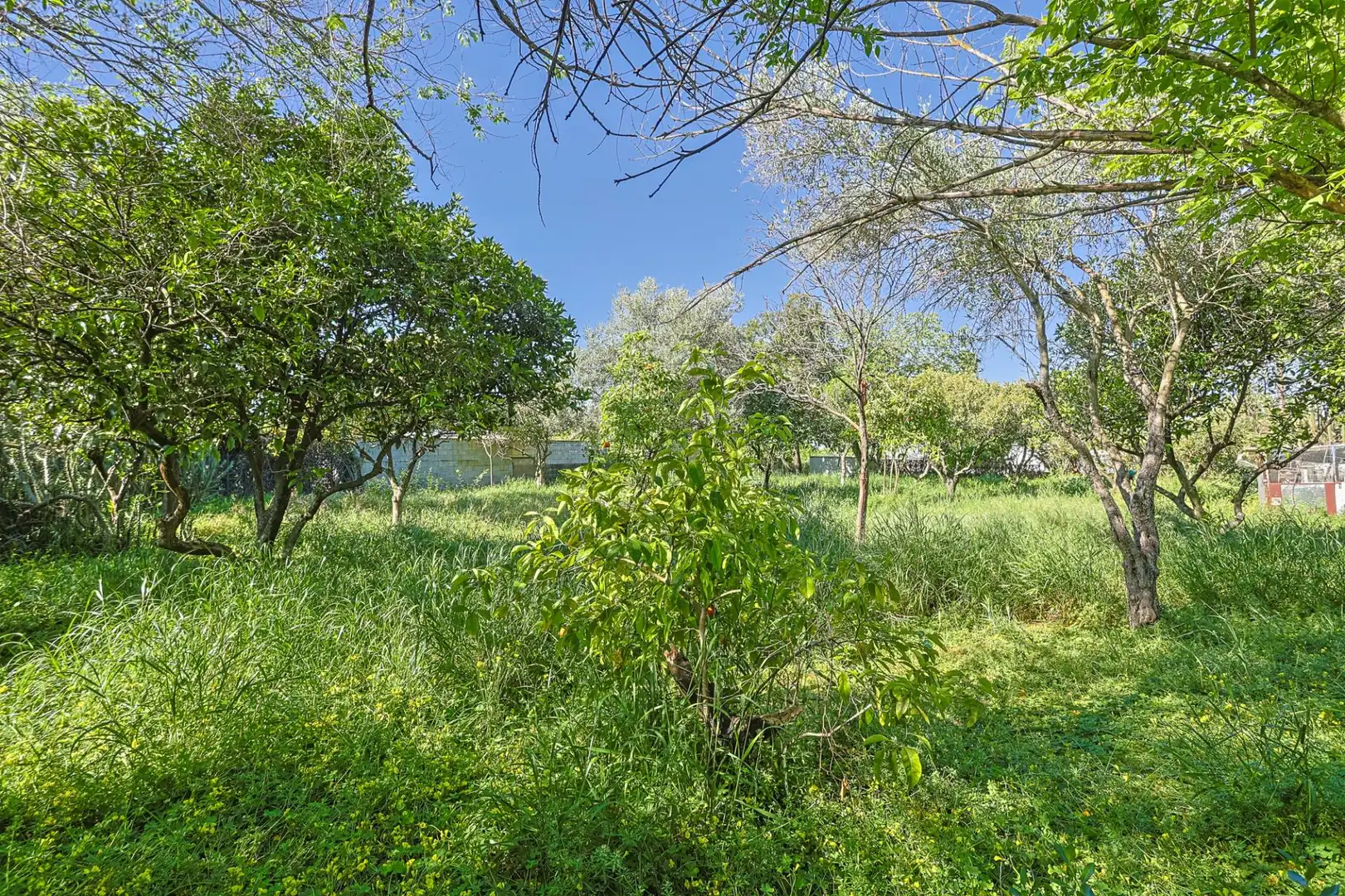 Casa o xalet en venda en Sanlúcar la Mayor amb Aire condicionat i Piscina