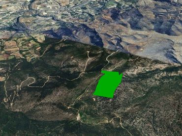 Rural land for sale in Ptda el Collado