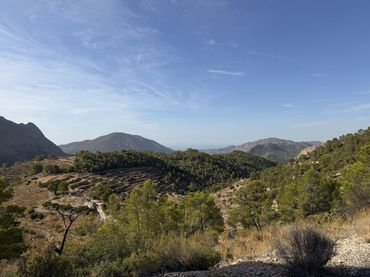Terreny rústic en venda a Sella
