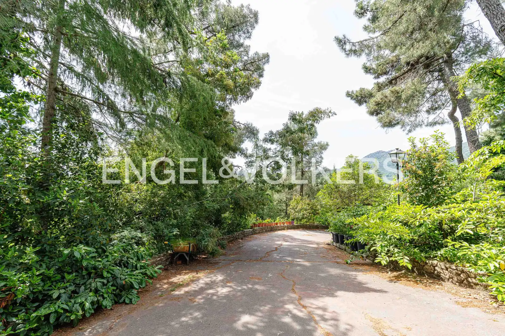 Exterior view of Houses for sale in San Lorenzo de El Escorial  with Heating, Private garden and Terrace