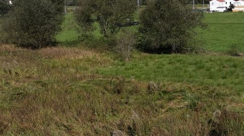 Terreno rustico, imagen 4