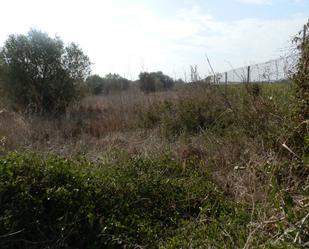 Industrial land for sale in Vinaròs
