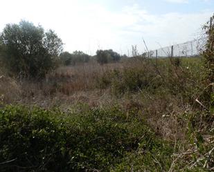 Terreny industrial en venda en Vinaròs