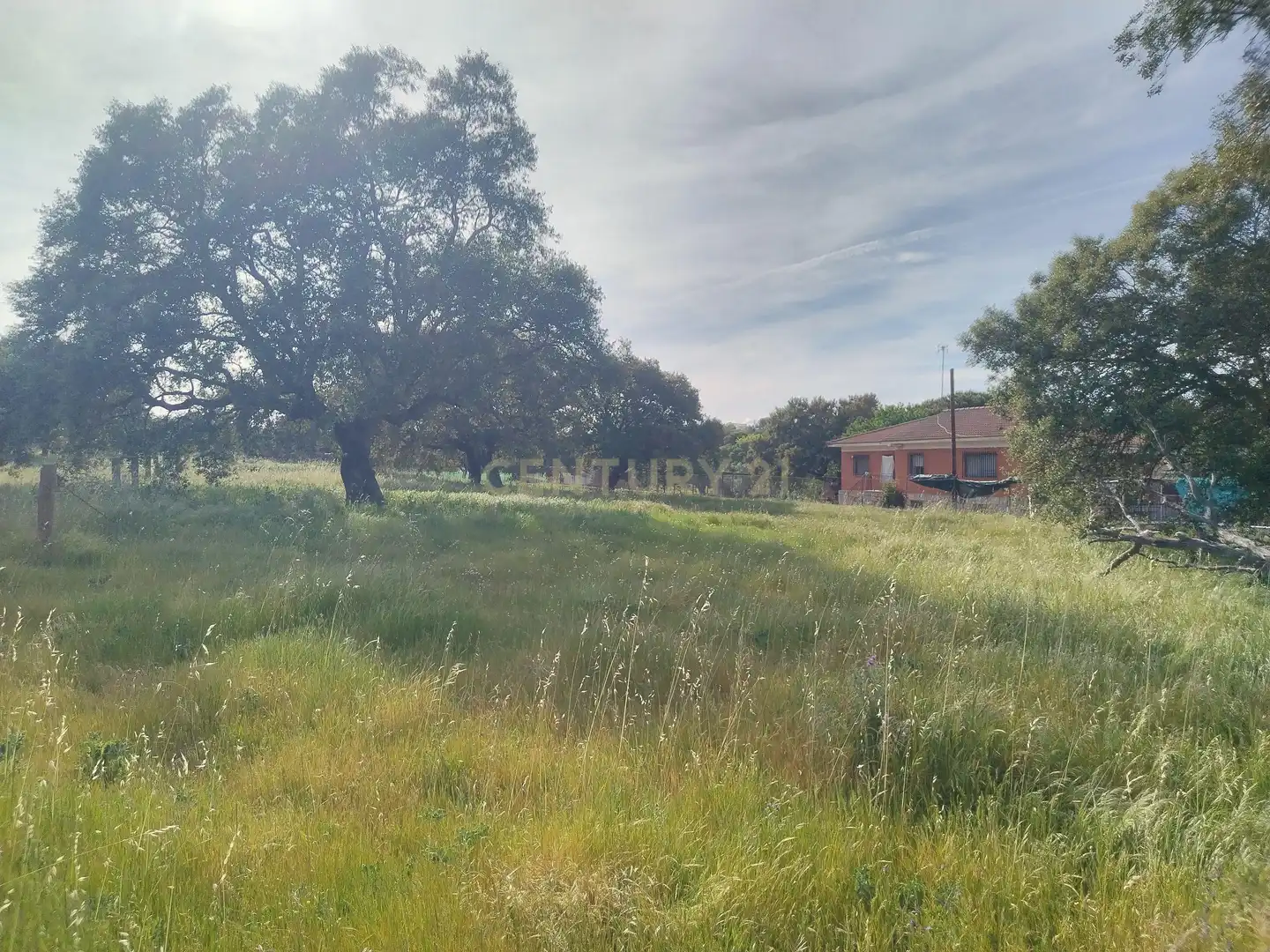 Terreny en venda en Casar de Cáceres