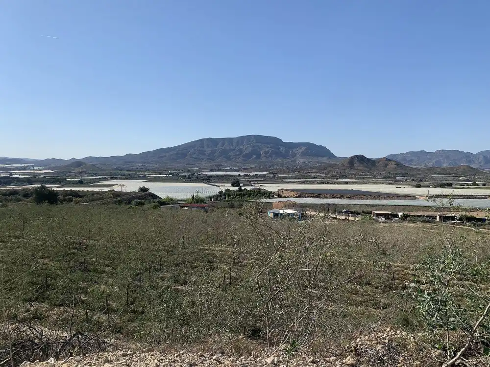 Terreno residencial en venta en Monforte del Cid