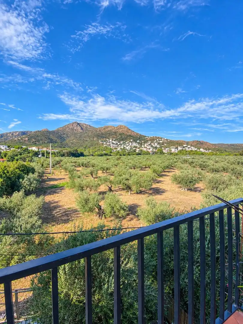 Apartment for sale in Els Grecs - Mas Oliva, imagen 9
