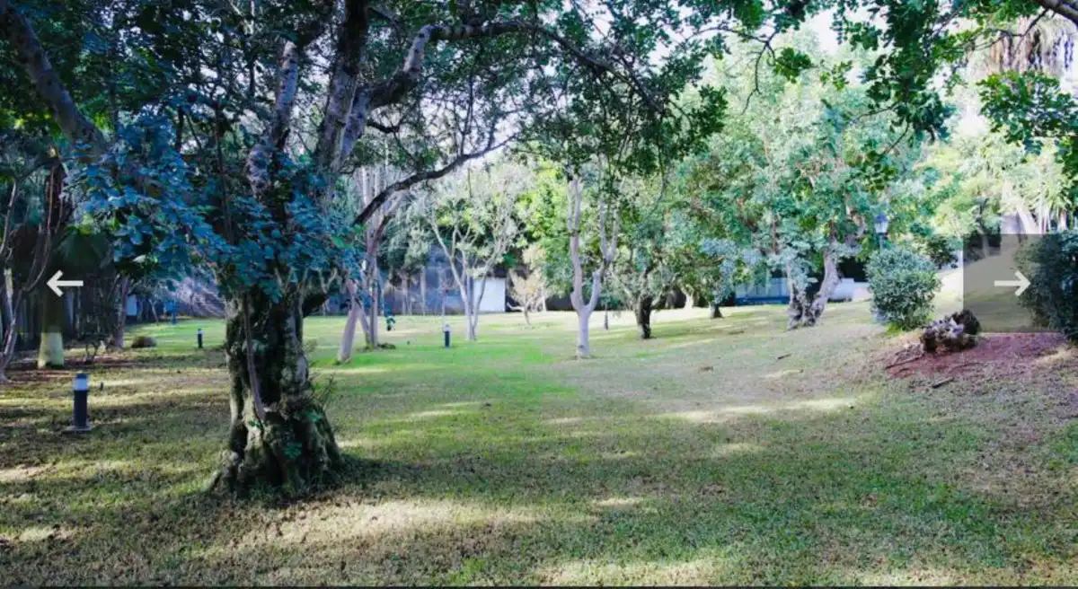House with pool for sale in Milla de Oro, imagen 12