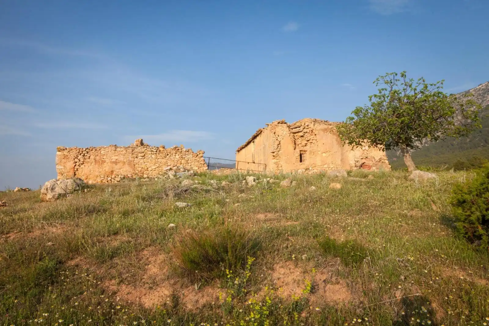 Lands and plots for sale in Mula, imagen 16