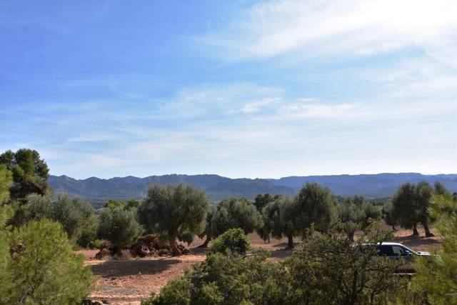 Terreno en Venta en Lledó