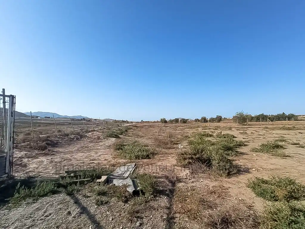 Country homes for sale in Lorca