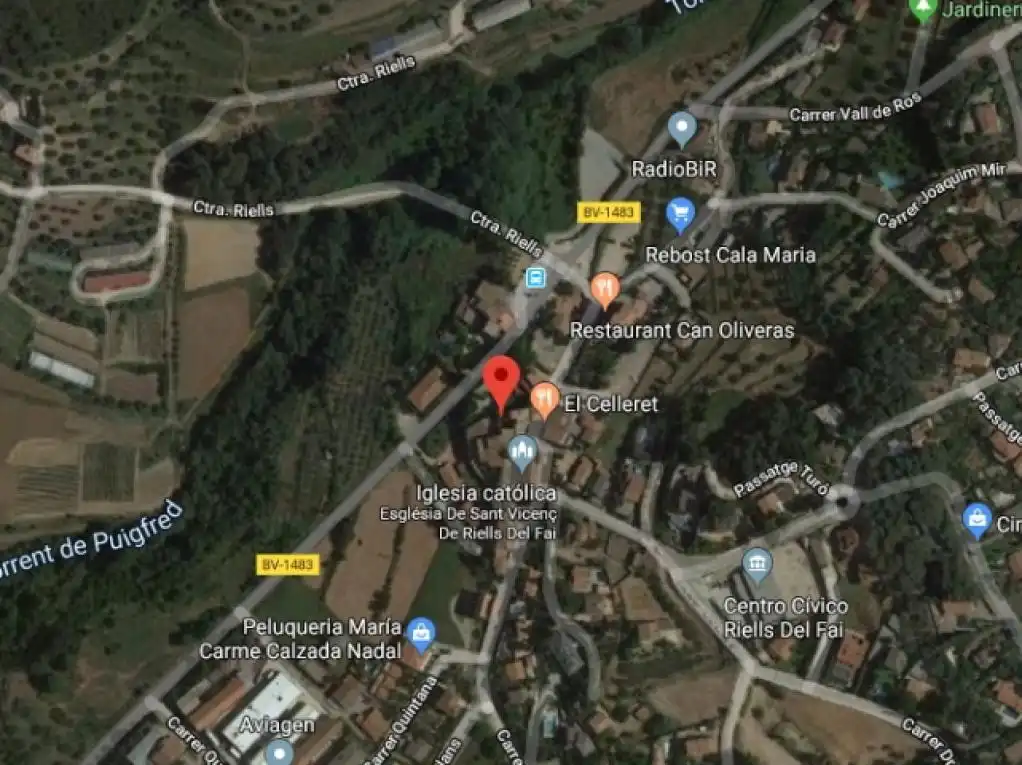 Rustikales Grundstück zum Verkauf in C/ Riells, imagen 6