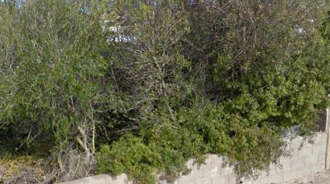 Foto 4 de Residencial en venda a Badia Blava - Badia Gran - Tolleric, Llucmajor