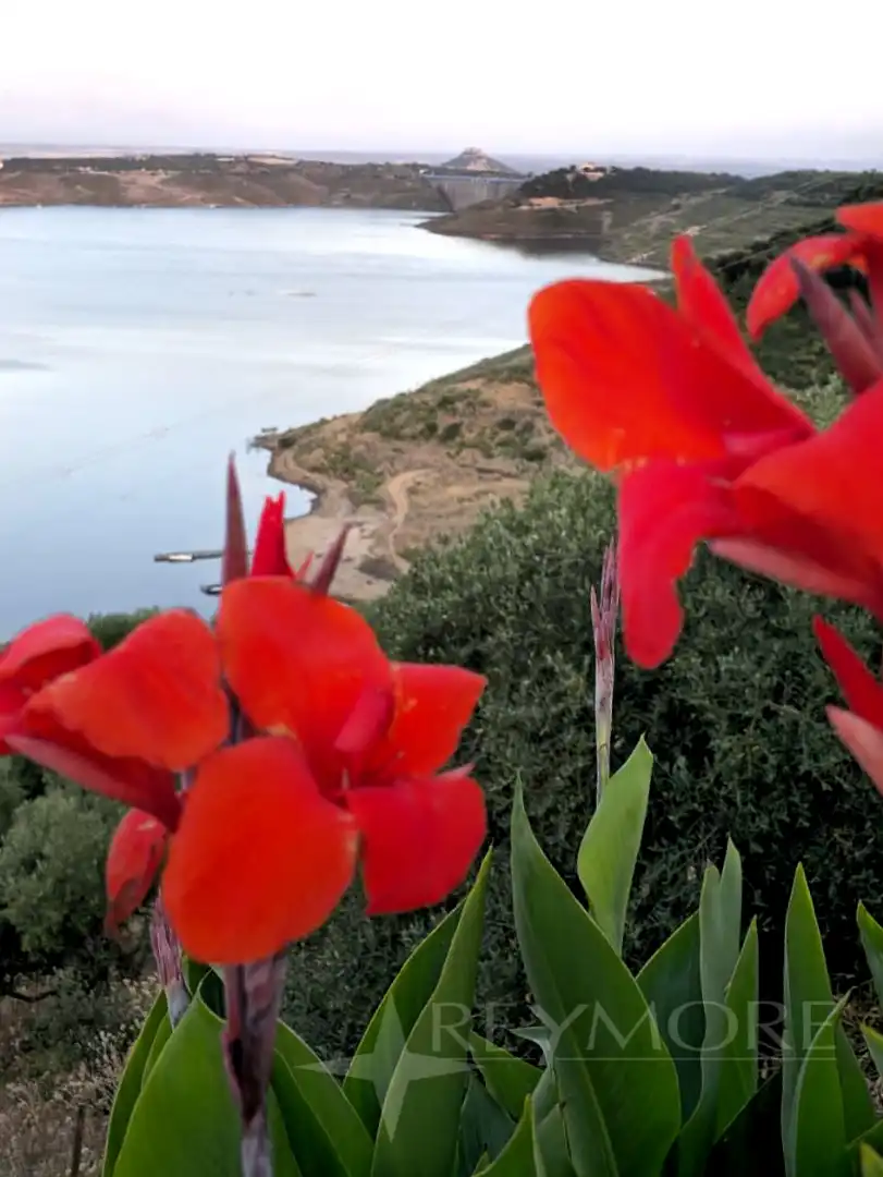 Jardín de Casa o chalet en venta en Almodóvar del Río con Aire acondicionado, Calefacción y Jardín privado