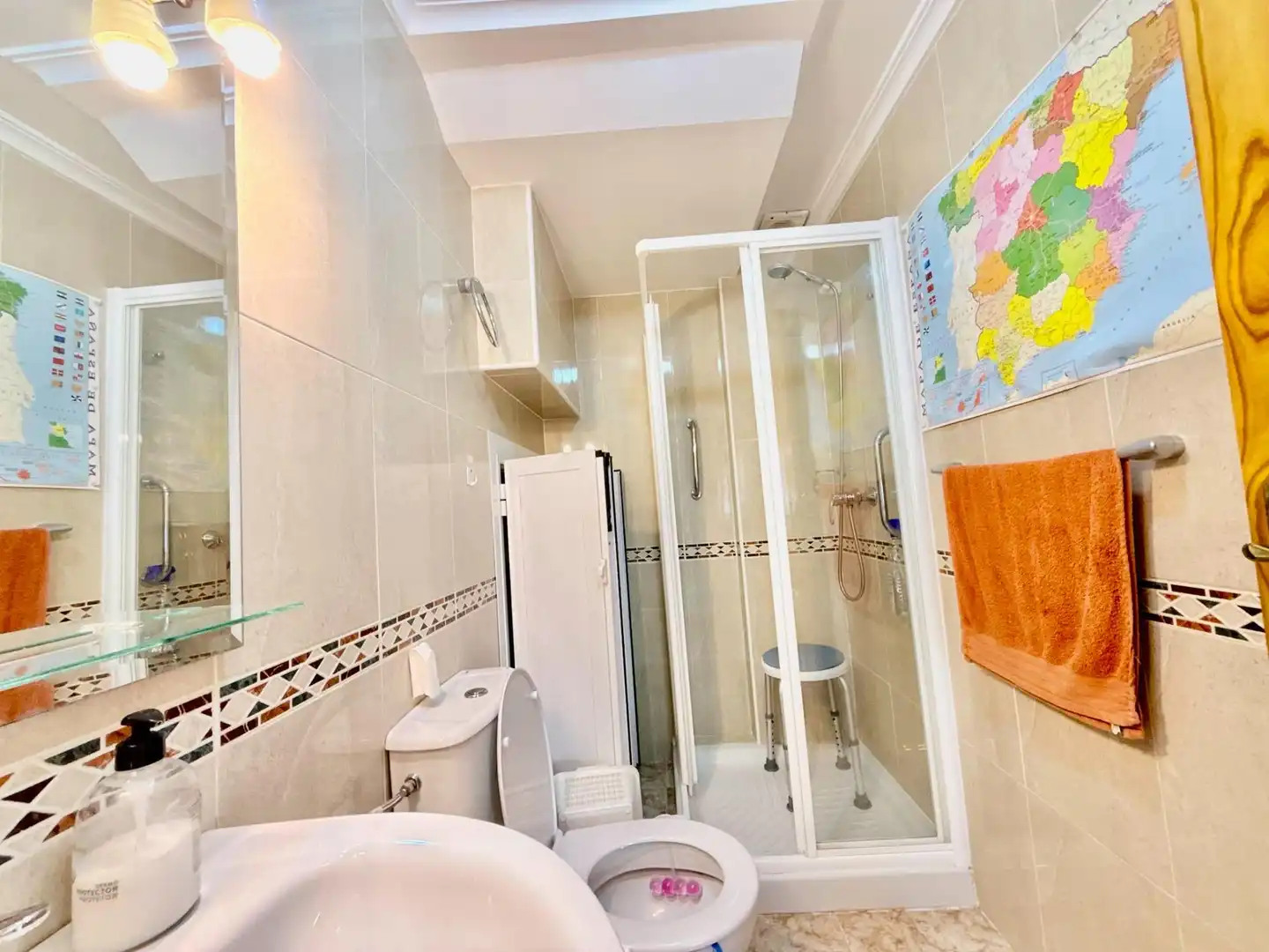 Bathroom of Detached homes for sale in Pilar de la Horadada  with Air Conditioner, Private garden and Terrace