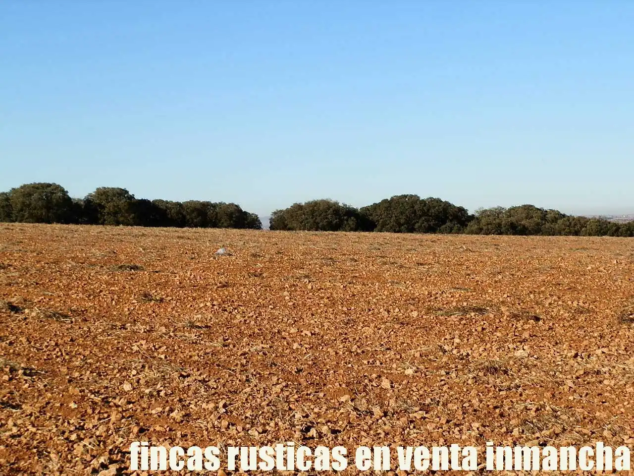 Terreni e lotti in vendita a Quintanar de la Orden, imagen 9