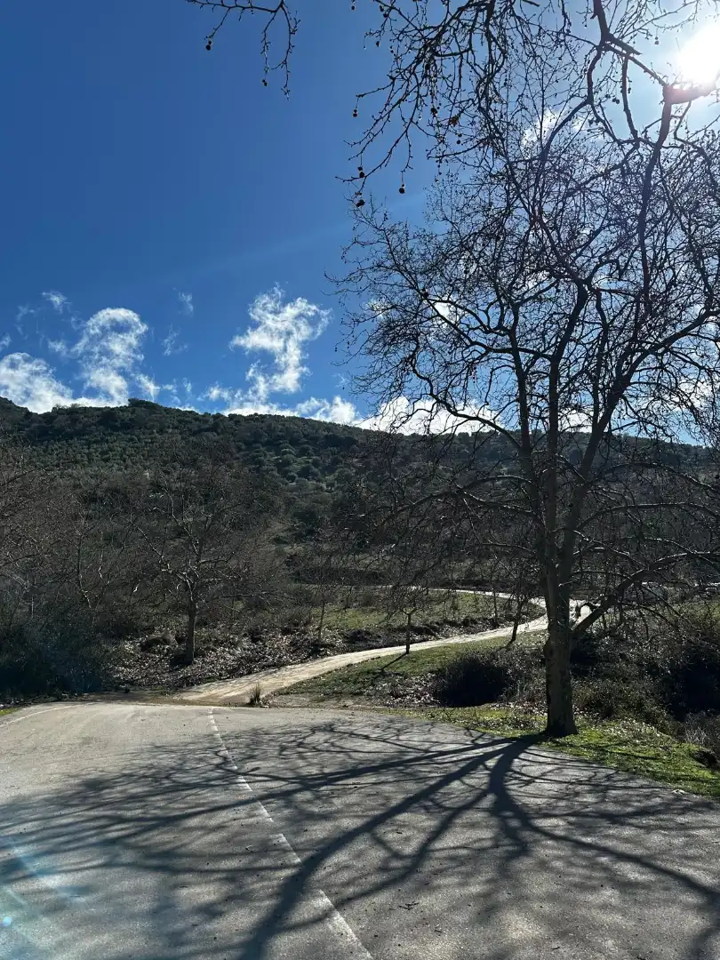 Vista exterior de Finca rústica en venda en Valdepeñas de Jaén