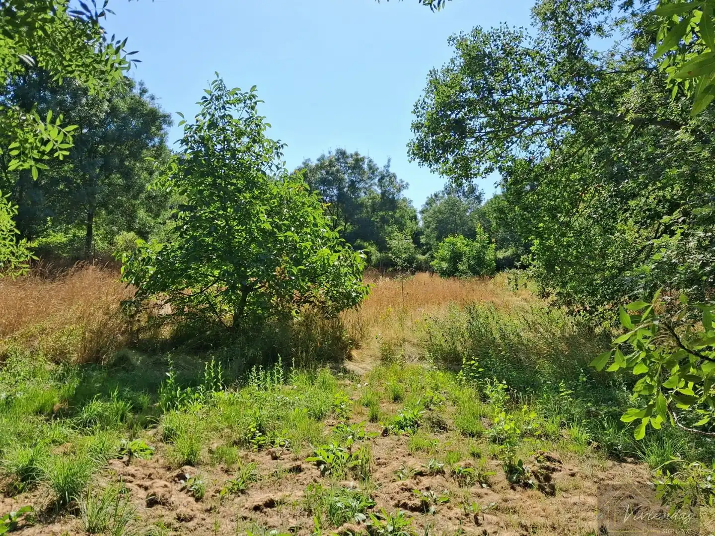 Finca rústica en venta en Bustarviejo