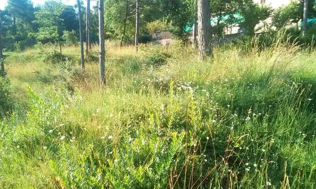 Residential land for sale in Vilafort, imagen 5