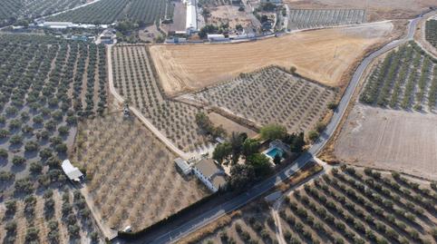 Foto 4 de Finca rústica en venda a A-353 R de Gilena a Pedrera, Gilena, Sevilla