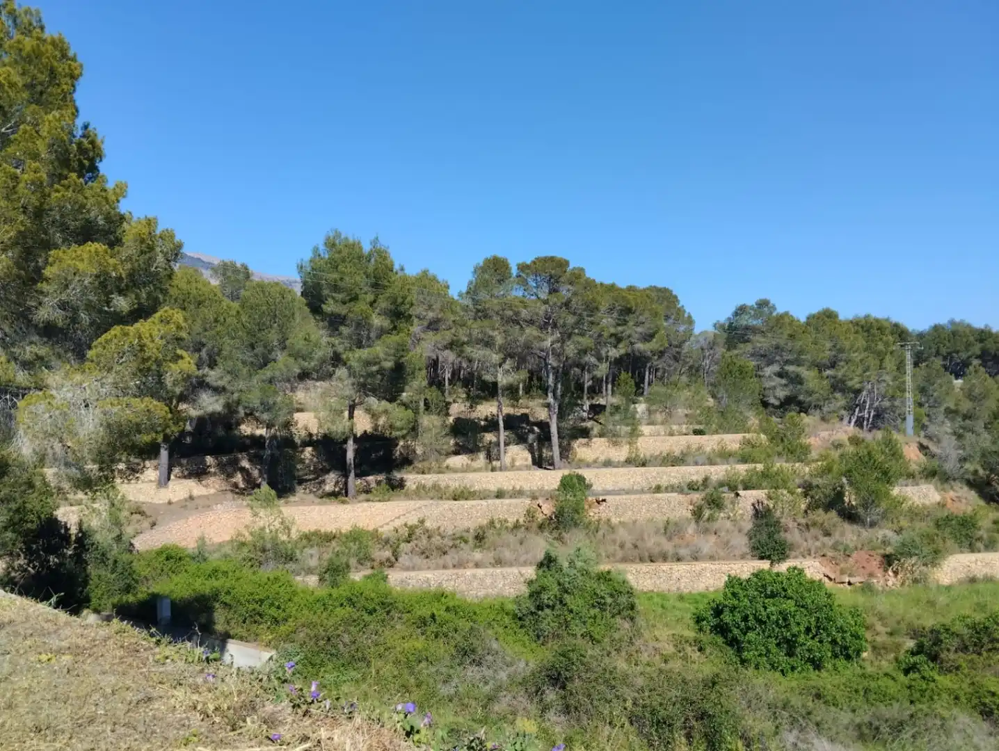 Villa con piscina in vendita a Altea la Vella, imagen 24