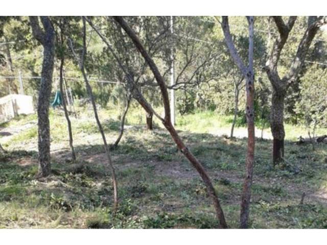Terreno en Venta en Santa Elena en Montbarbat