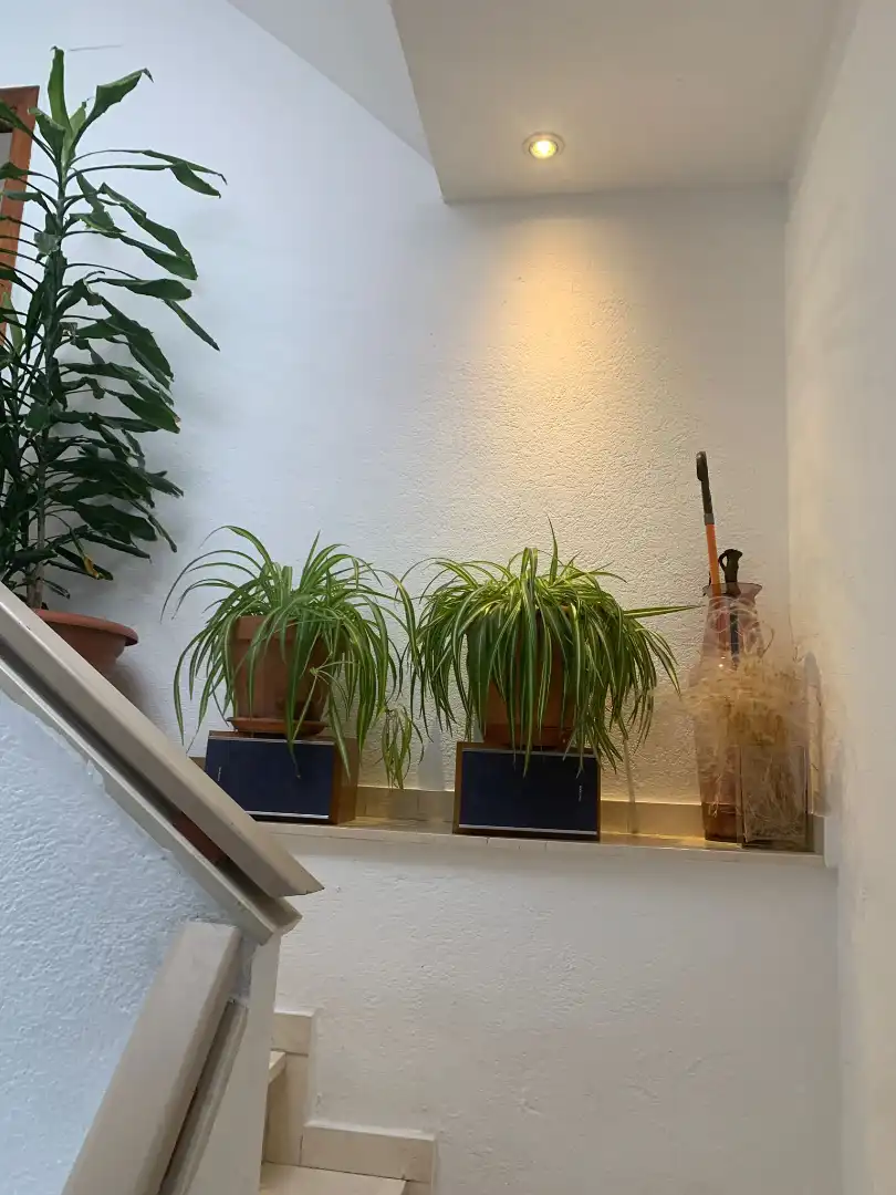 Haus oder Chalet zum Verkauf in Moià mit Klimaanlage, Heizung und Privatgarten