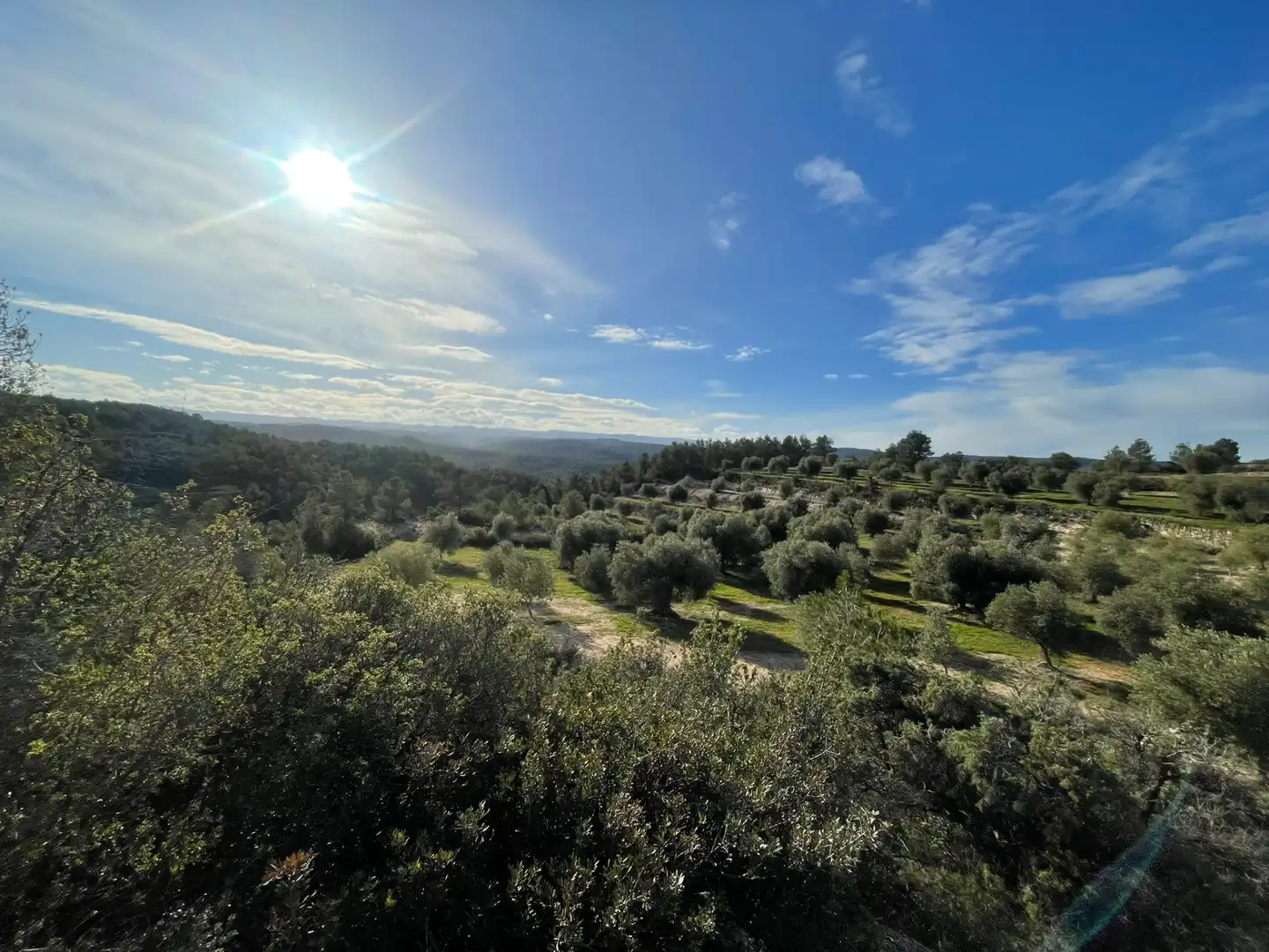Rural land for sale in Cervià de Les Garrigues, imagen 25