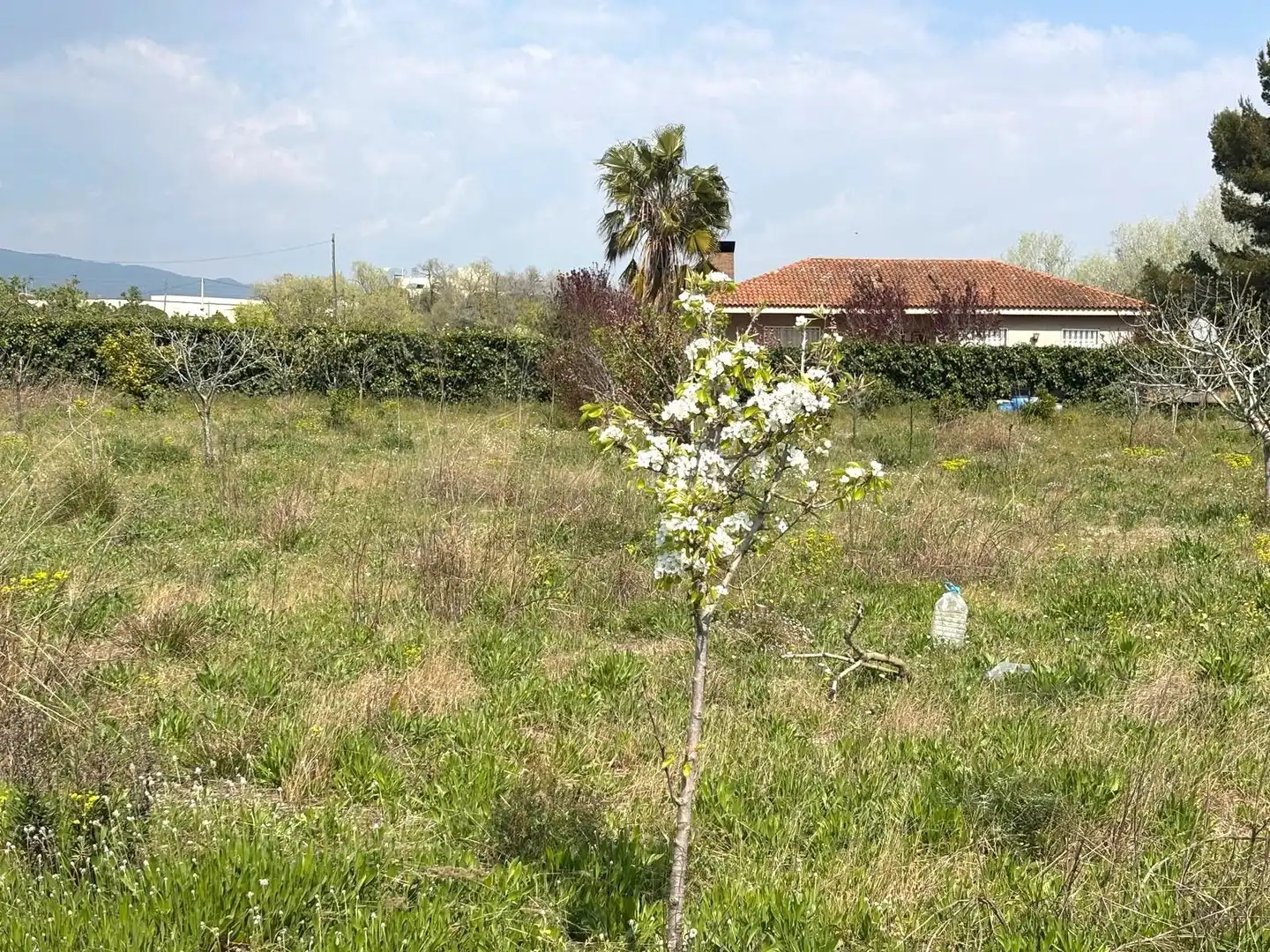 Rural land for sale in Santa Oliva, imagen 3