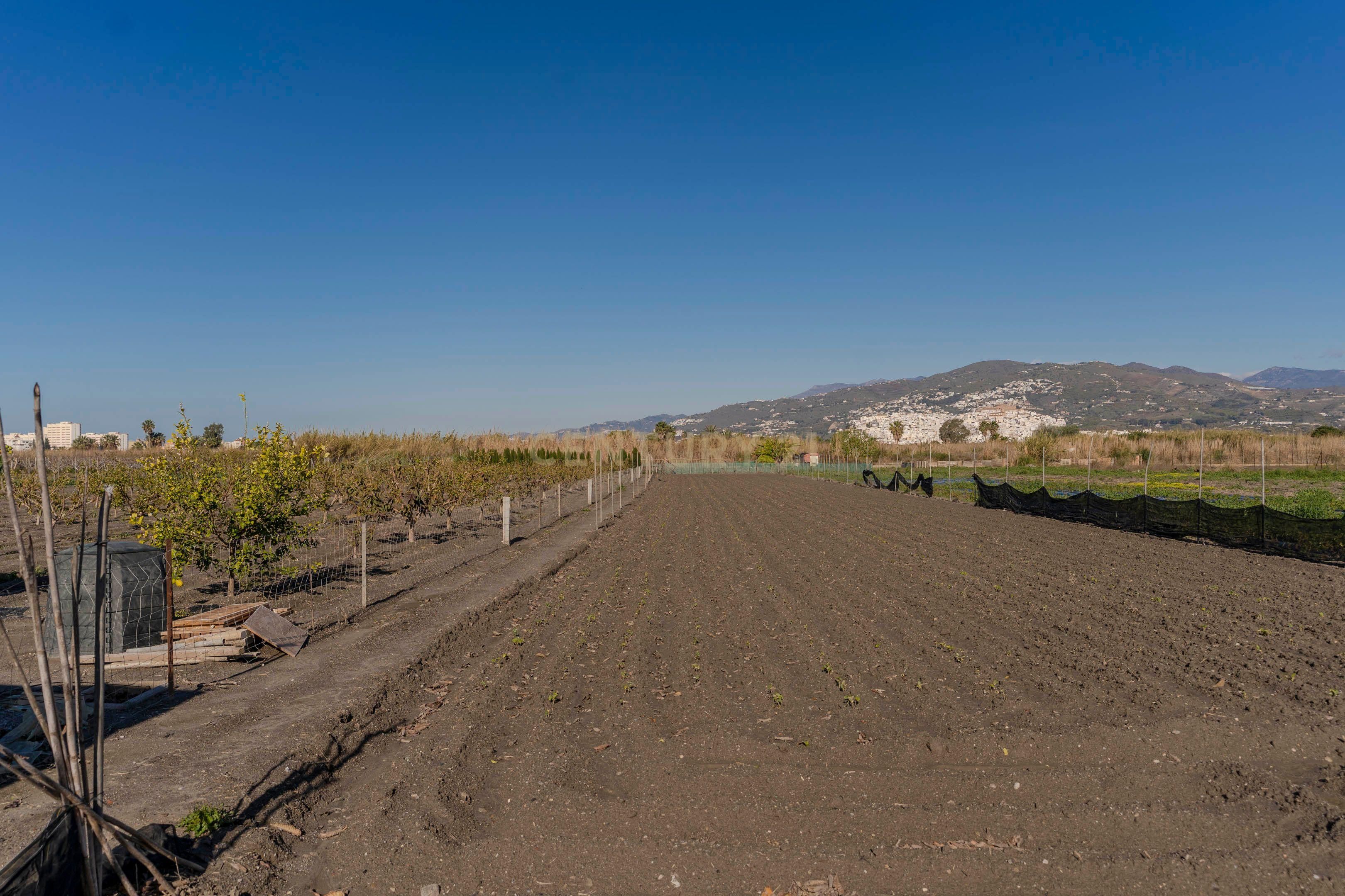 Terreny en venda en Salobreña