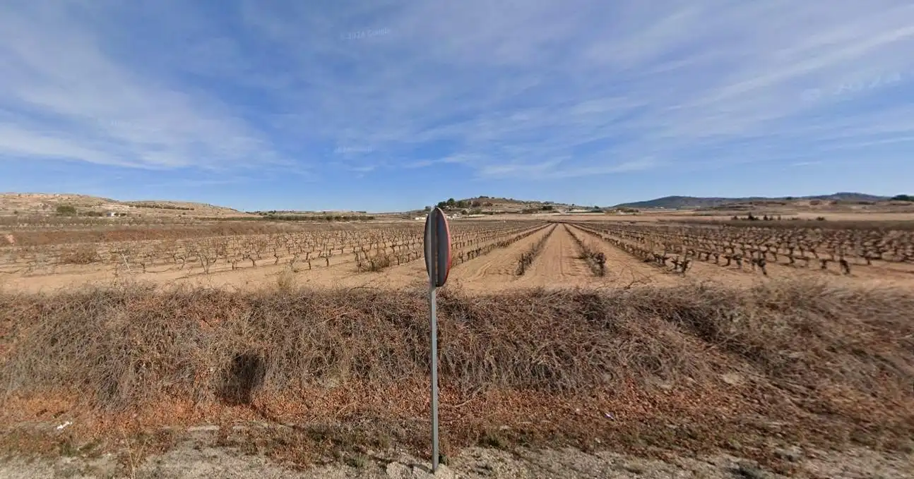 Terreno rústico en venta en El Pinós / Pinoso, imagen 3