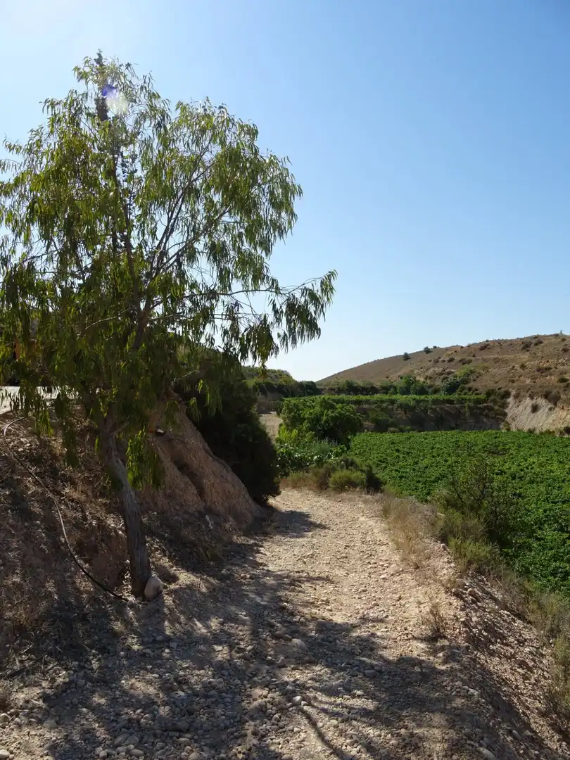 Casa o xalet en venda a Pedanías Este