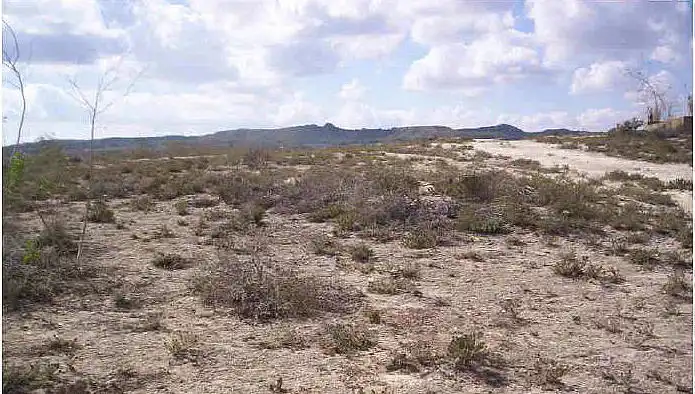 Terreny rústic en venda a Paraje Lo Pujol, Hacienda Lo Catalan, Pol 13, parcela 103, imagen 7