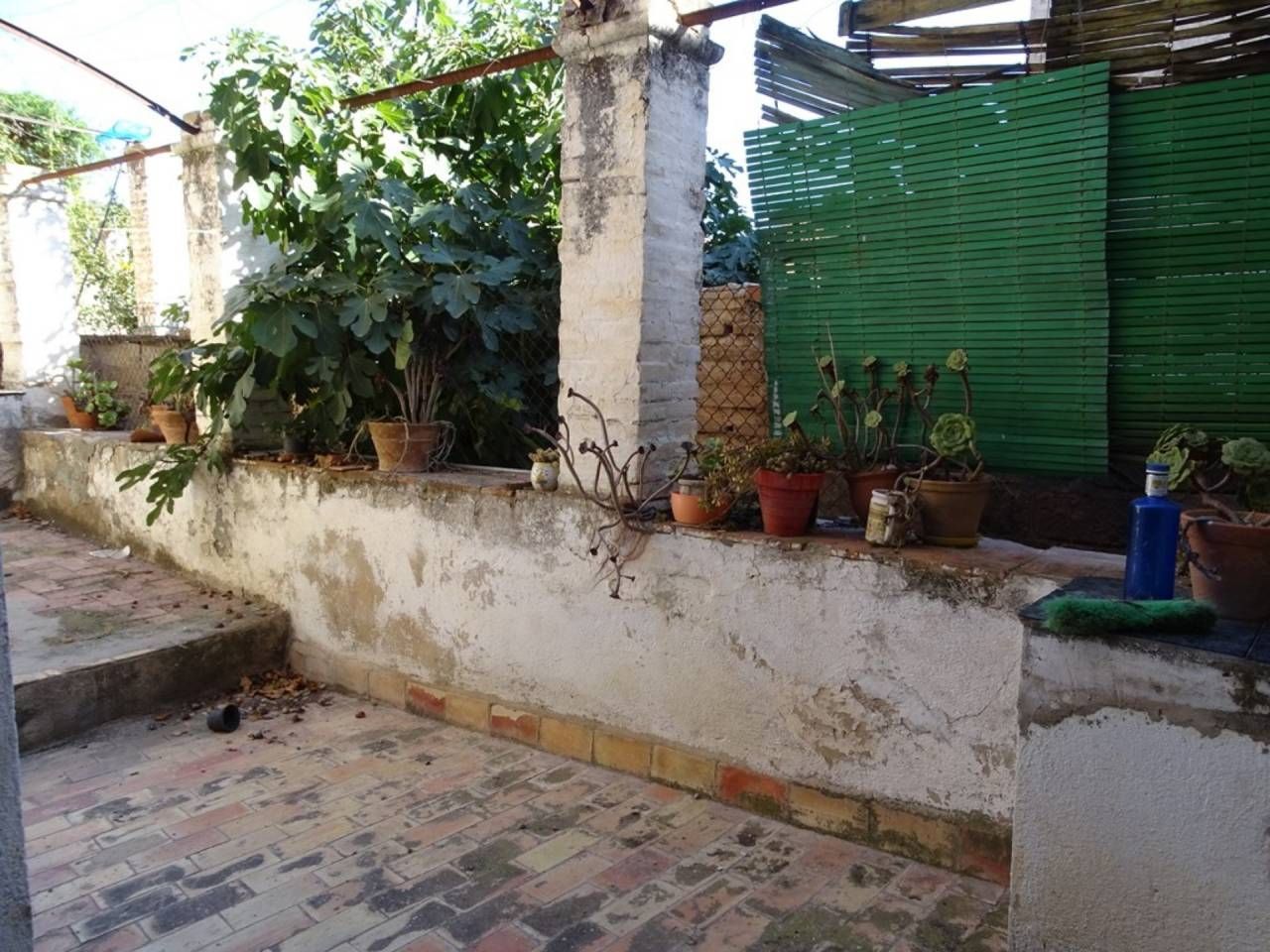 Jardí de Casa o xalet en venda en Xerta amb Jardí privat