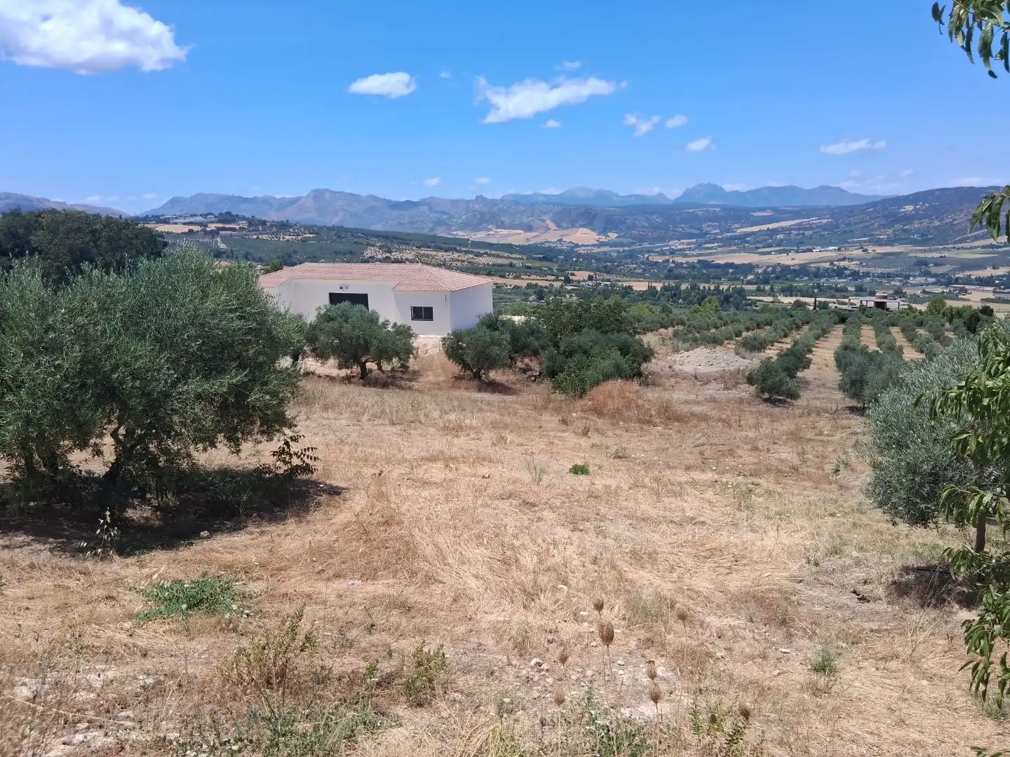 Terreny industrial en venda en Ronda