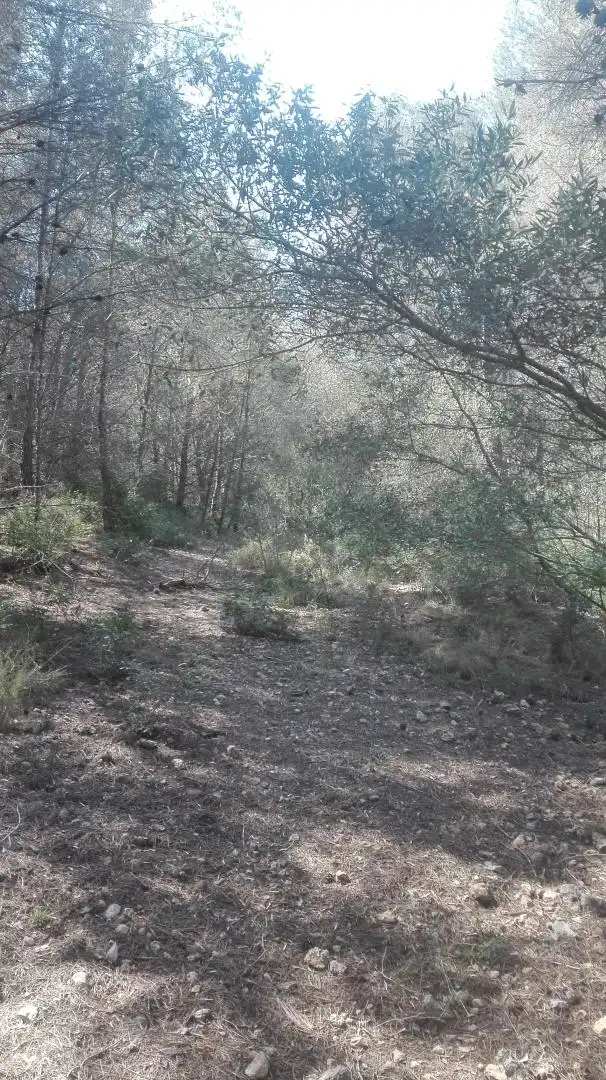 Terreni e lotti in vendita a Urbanitzacions de Llevant, imagen 19