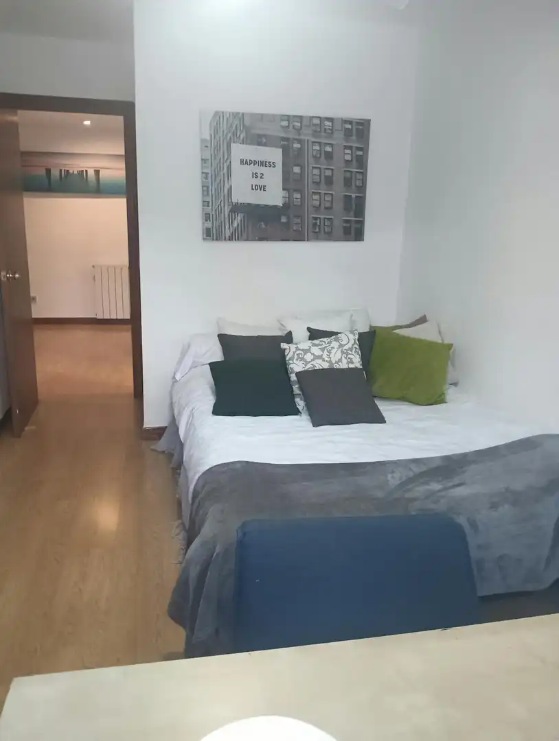 Bedroom of Flat for rent in Madrid  with Air Conditioner, Heating and Private garden