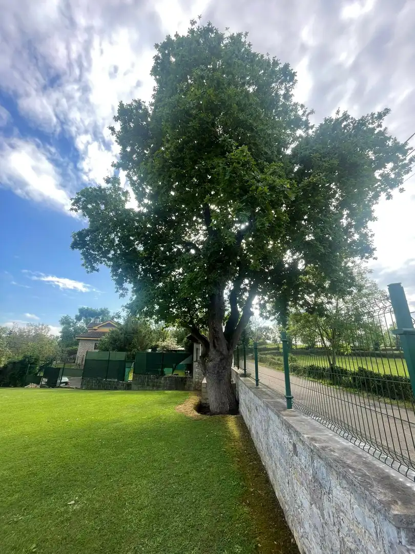 Vista exterior de Casa o xalet en venda en Oviedo  amb Calefacció, Jardí privat i Parquet
