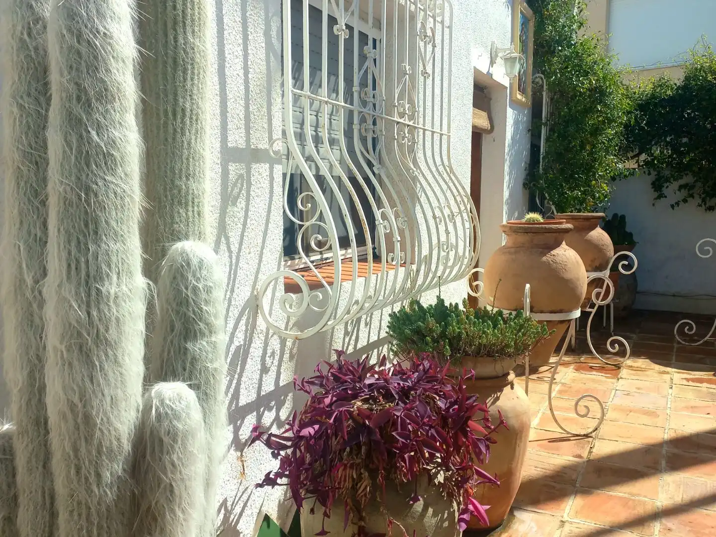 Villa con piscina in vendita a Avinguda del Grau 100, imagen 13