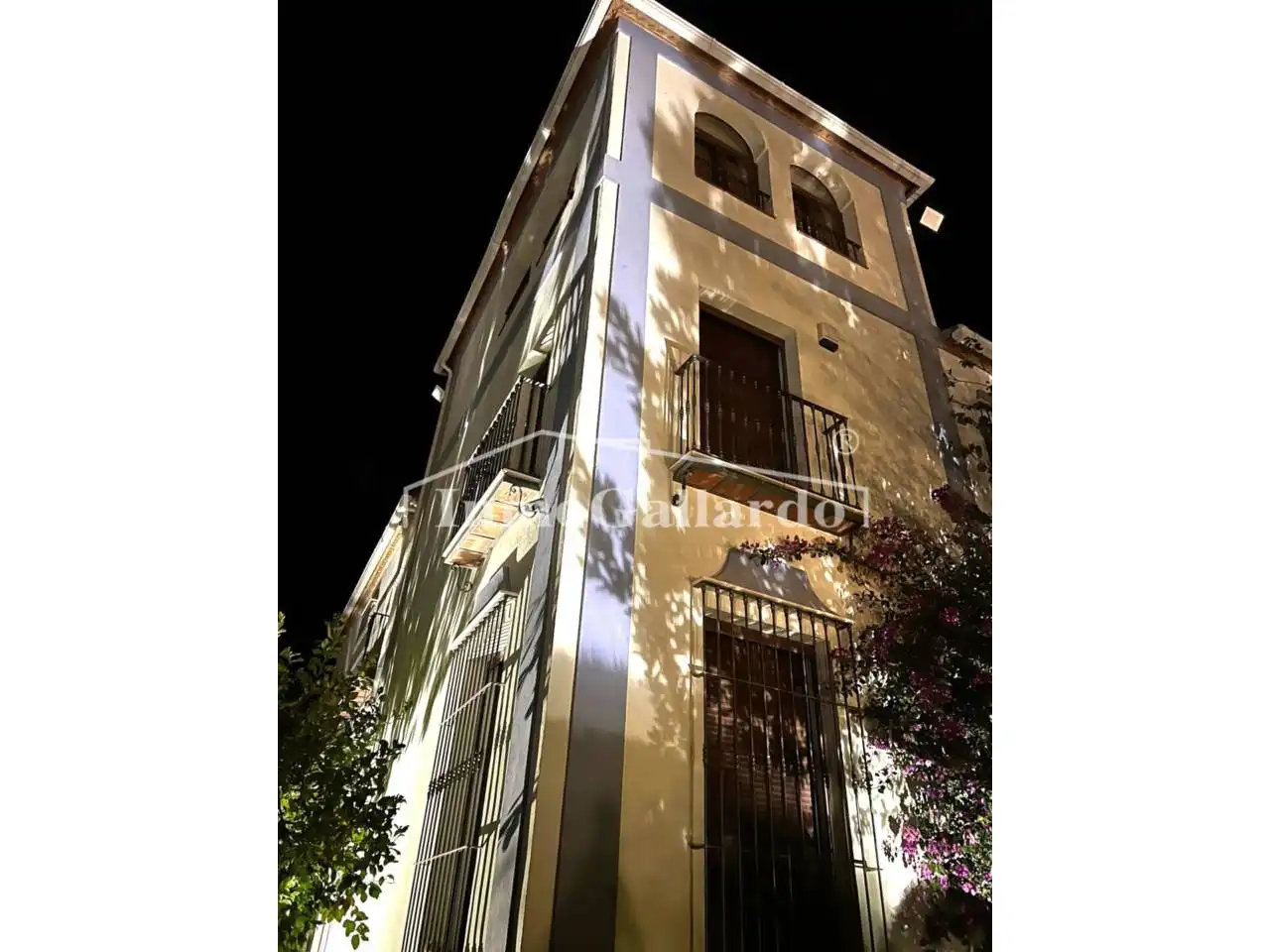 Exterior view of Buildings for sale in Lucena