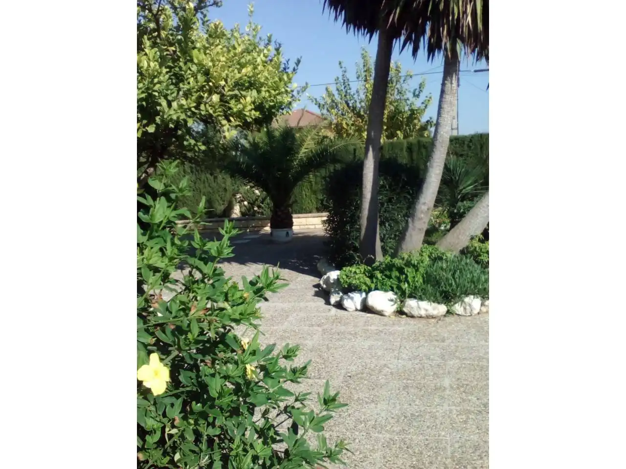 Jardín de Casa o chalet en venta en Carmona con Jardín privado, Terraza y Piscina