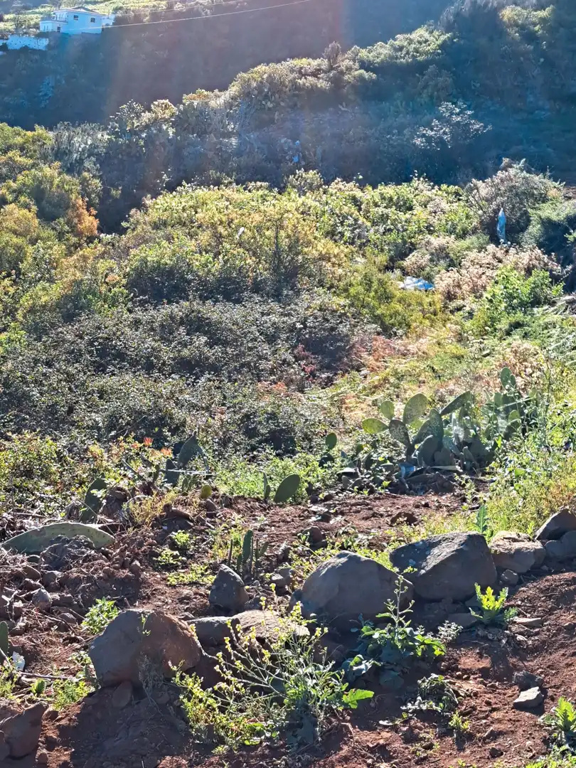 Rural land for sale in La Corujera, imagen 3