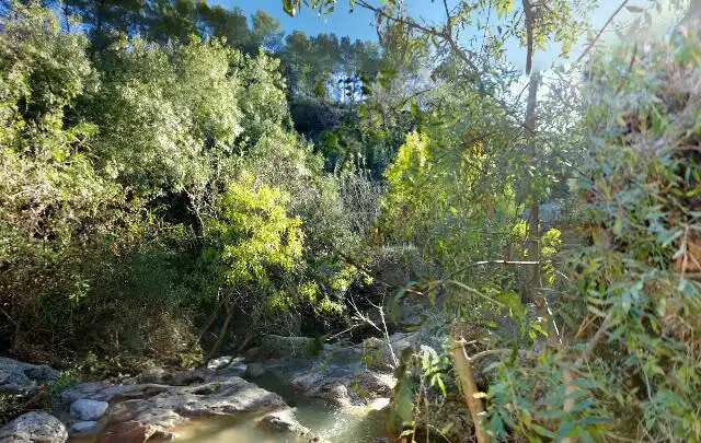 Flat for sale in Calle Montserrat, Parcela  (Font Del Bosc), imagen 5