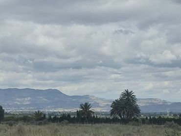 Terreno rustico in vendita a La Marina