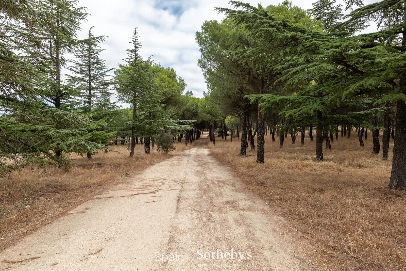 Wohnbaugrundstück zum Verkauf in Deportivo Galapagar - Los Almendros, imagen 66