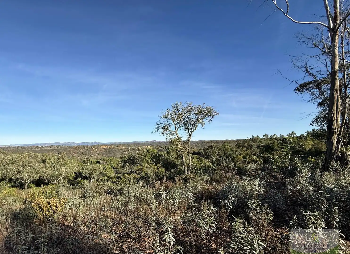 Finca rústica en venta en Berrocal