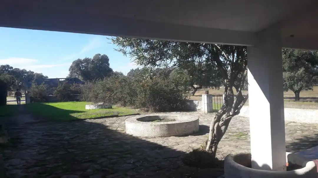 Jardín de Terreno en venta en Casatejada