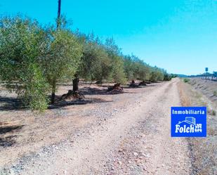 Terreny en venda en Vinaròs