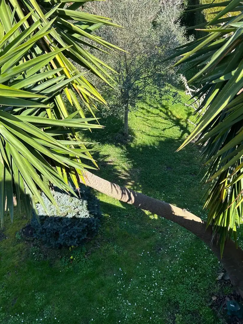 Jardí de Casa o xalet en venda en Boiro amb Calefacció, Terrassa i Traster