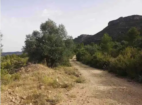 Rural land for sale in Partida Sacaras, imagen 9