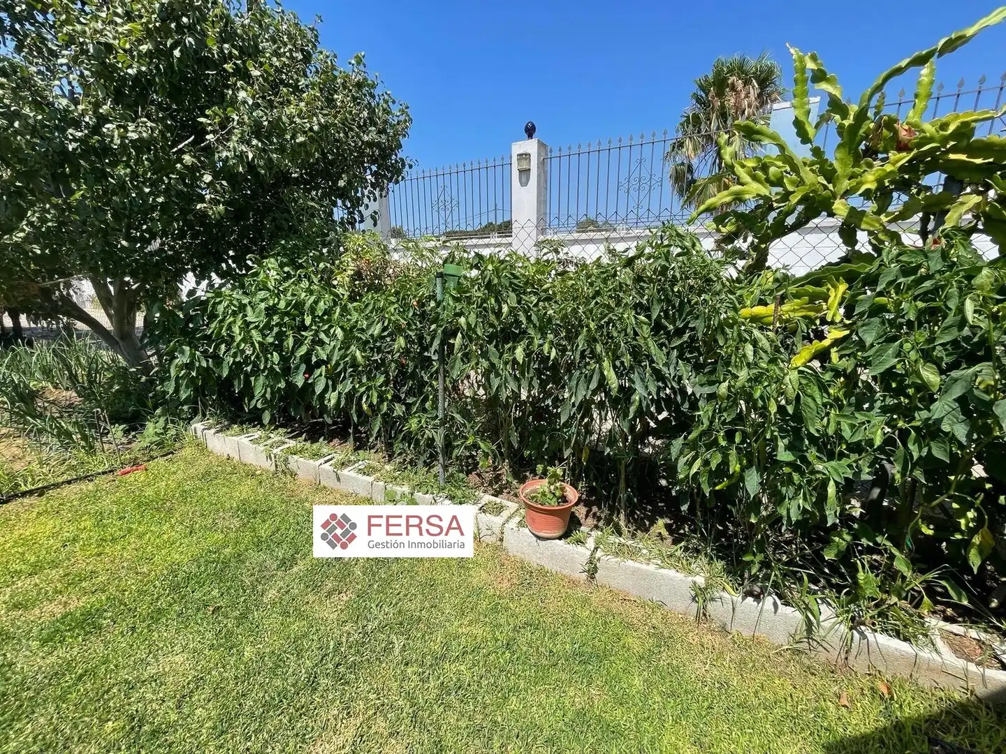 Vista exterior de Casa o xalet en venda en El Puerto de Santa María amb Aire condicionat, Calefacció i Jardí privat